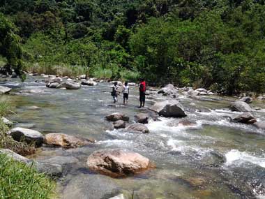 tour to Kalong river